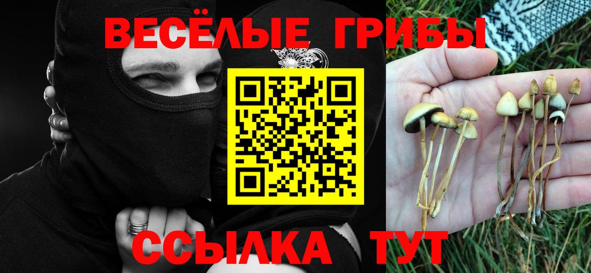Галлюциногенные грибы GOLDEN TEACHER Дальнереченск