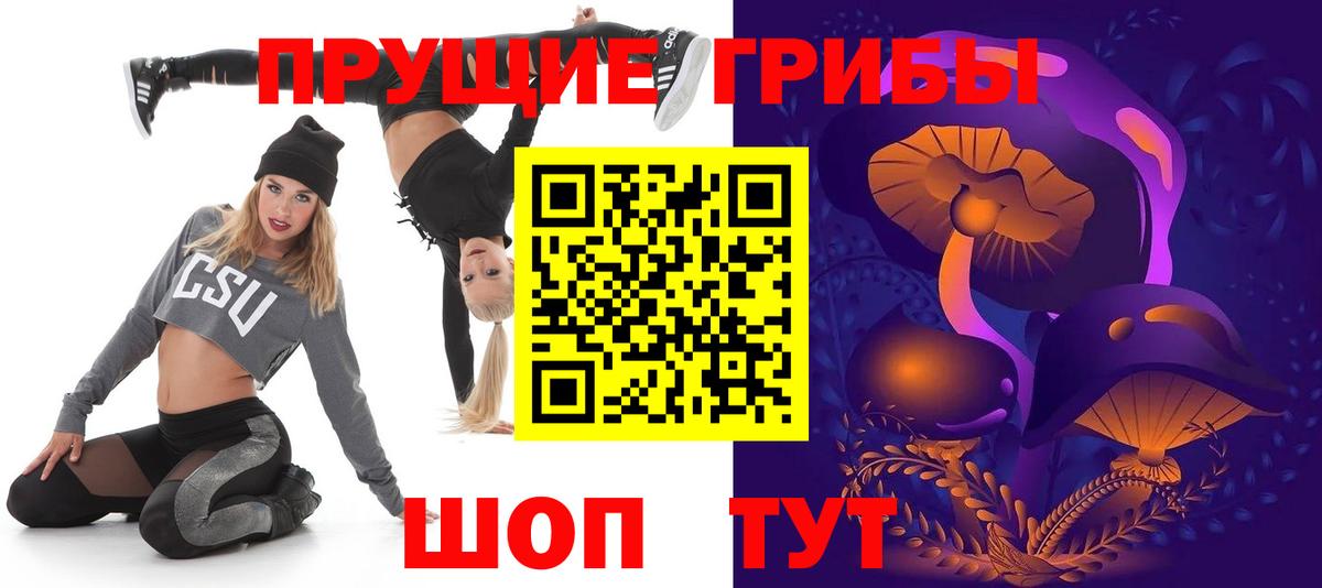 Дальнереченск  Псилоцибиновые грибы мицелий  где купить наркоту  Вход с VPN 